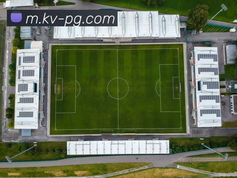 pg电子APP 高清赛事图